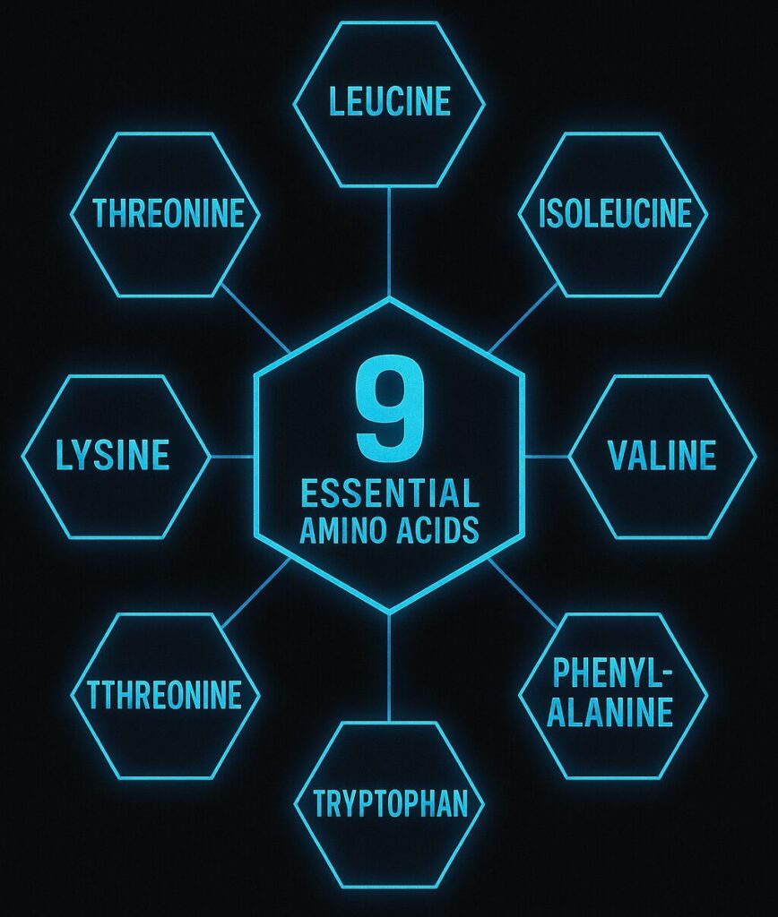 9 essential amino acids